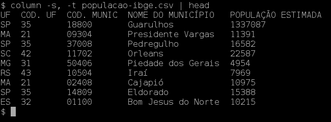 imagem mostrando o arquivo lido pelo column