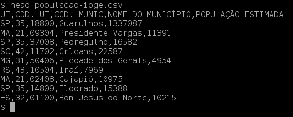 imagem mostrando o arquivo lido pelo head