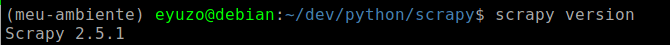 imagem mostrando o teste da instalação do scrapy no virtualenv