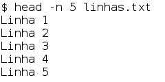 image showing head with -n option